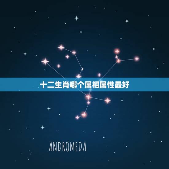 十二生肖哪个属相属性最好，十二生肖那个属相最好