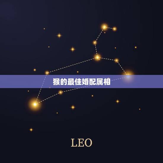 猴的最佳婚配属相，属猴的和什么属相最配，属猴的属相婚配表