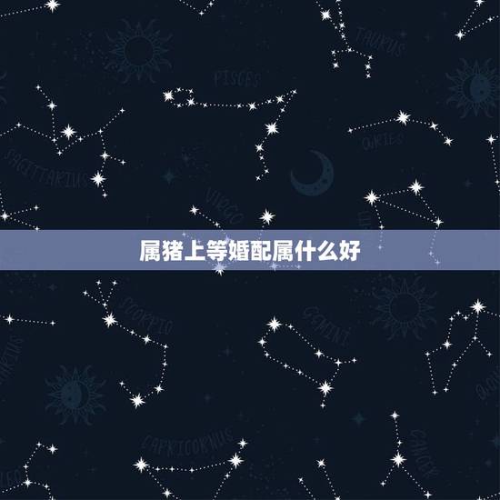 属猪上等婚配属什么好，属猪的和什么属相最配