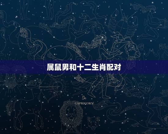 属鼠男和十二生肖配对 和生肖鼠配的生肖 属鼠男和十二生肖配对 和生肖鼠配的生肖