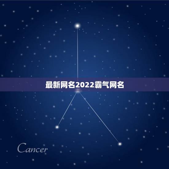 最新网名2022霸气网名，2023最酷网名