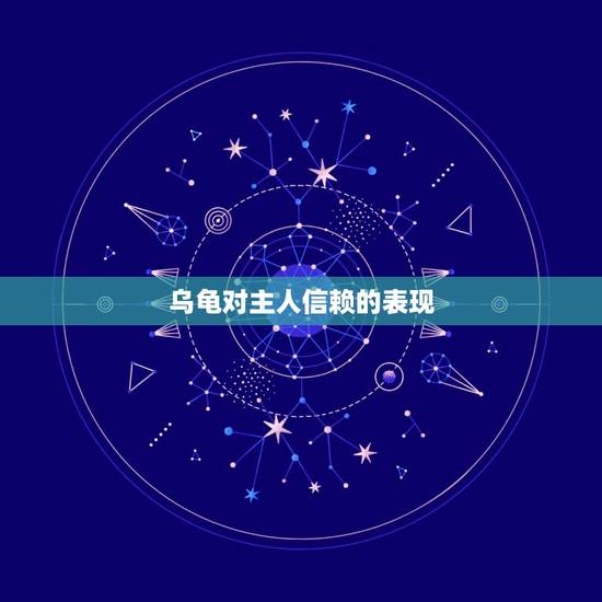 乌龟对主人信赖的表现，巴西龟讨厌主人的表现