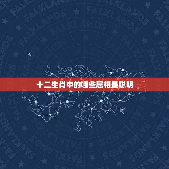 十二生肖中的哪些属相最聪明，十二生肖哪个生肖最笨的动物是什么？