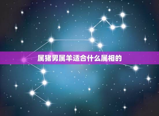 属猪男属羊适合什么属相的,农历1992年适合男属羊女属猪的结婚 属猪男属羊适合什么属相的,农历1992年适合男属羊女属猪的结婚