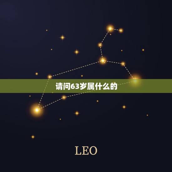 请问63岁属什么的，63岁属什么的