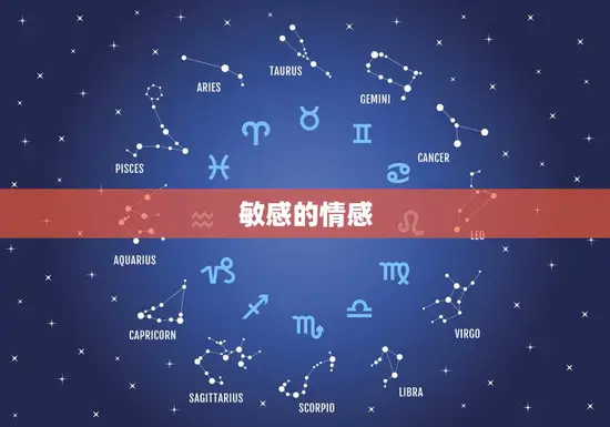 敏感的情感 敏感的情感