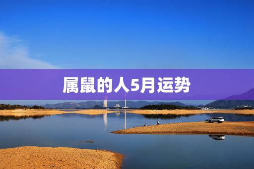 属鼠的人5月运势，1972属鼠2022 每月运势