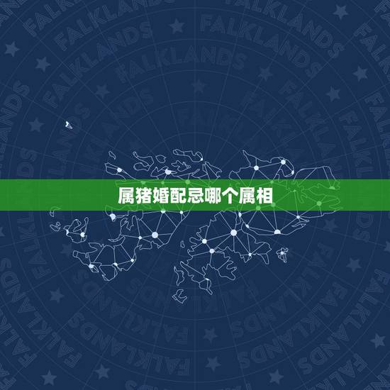 属猪婚配忌哪个属相，十二生肖属猪配什么属相好