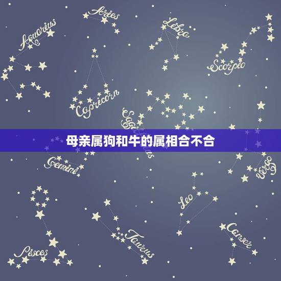 母亲属狗和牛的属相合不合，属狗与属牛为什么不能在一起？