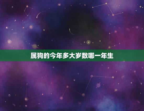 属狗的今年多大岁数哪一年生,属狗农历六月出生的人命运 属狗的今年多大岁数哪一年生,属狗农历六月出生的人命运