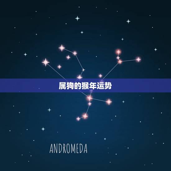 属狗的猴年运势，属狗人影响属猴人财运吗