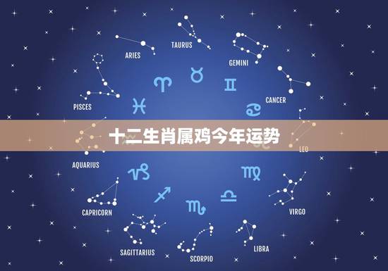 十二生肖属鸡今年运势,属鸡的2022 年的感情运 十二生肖属鸡今年运势,属鸡的2022 年的感情运