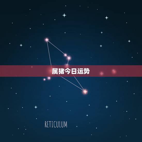 属猪今日运势,属猪人今日财运 属猪的带什么招财 属猪今日运势,属猪人今日财运 属猪的带什么招财