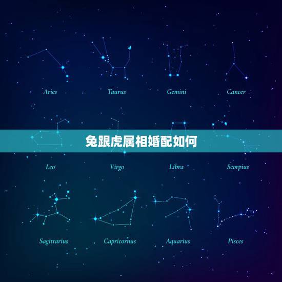 兔跟虎属相婚配如何,兔与虎的婚姻是否相配 兔跟虎属相婚配如何,兔与虎的婚姻是否相配