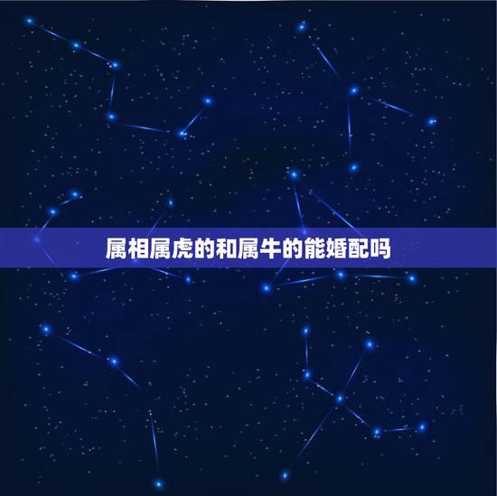 属相属虎的和属牛的能婚配吗,属牛和属虎的婚配如何 属相属虎的和属牛的能婚配吗,属牛和属虎的婚配如何