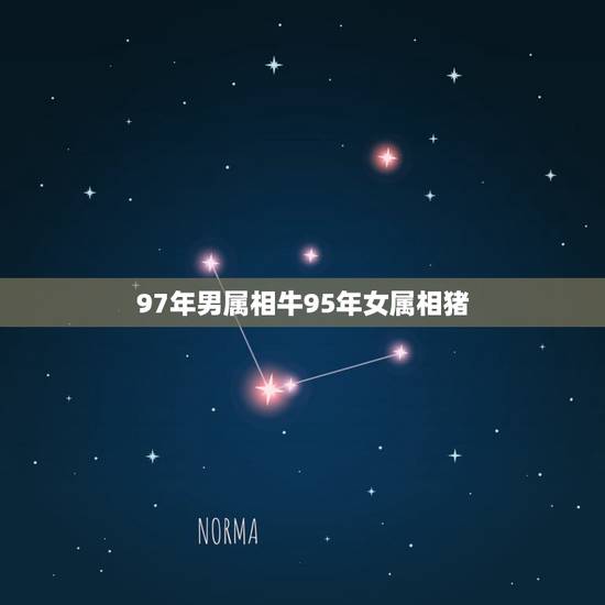 97年男属相牛95年女属相猪，97年属牛和95年属猪配吗
