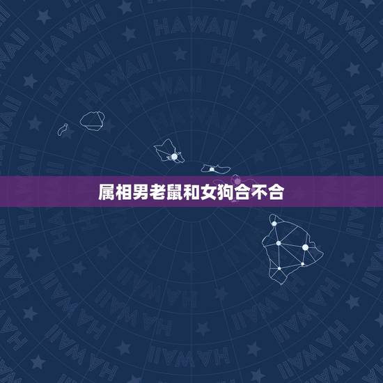 属相男老鼠和女狗合不合，狗和老鼠属相合不合