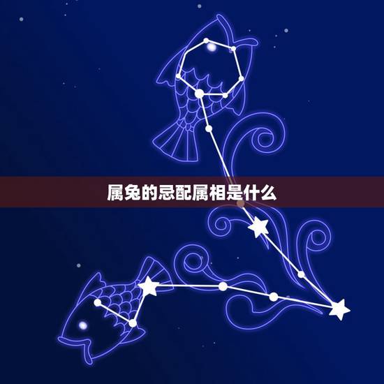 属兔的忌配属相是什么,属兔配什么生肖更好婚姻 属兔的忌配属相是什么,属兔配什么生肖更好婚姻