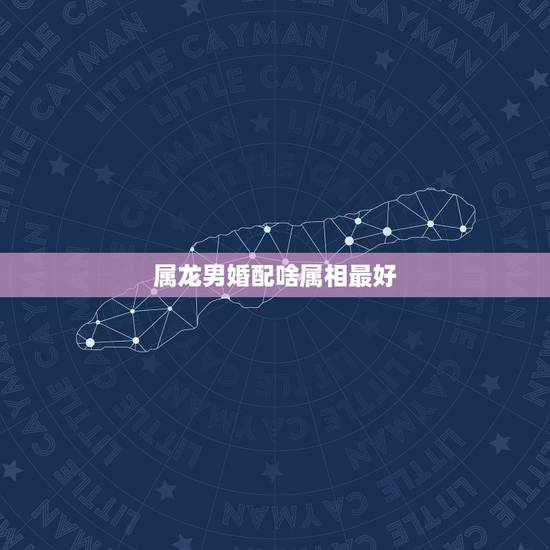 属龙男婚配啥属相最好,男龙配个什么属相相配最好 属龙男婚配啥属相最好,男龙配个什么属相相配最好