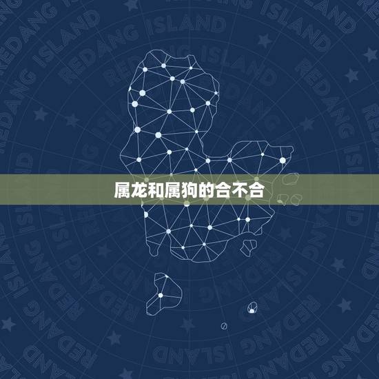 属龙和属狗的合不合,属狗和属龙做生意合么 属龙和属狗的合不合,属狗和属龙做生意合么