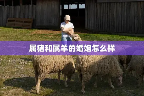 属猪和属羊的婚姻怎么样(幸福共存还是水火不容)