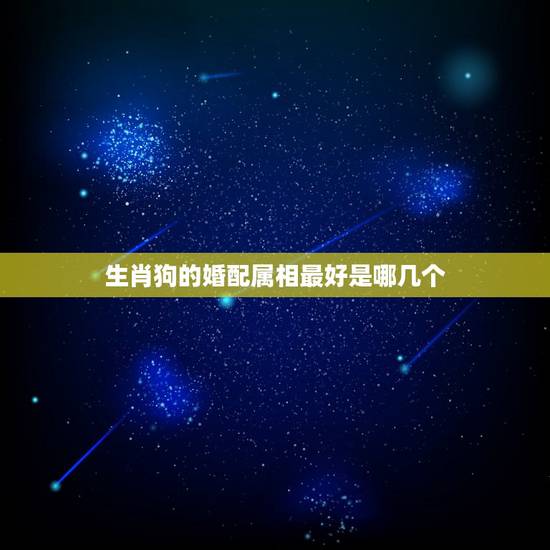 生肖狗的婚配属相最好是哪几个,生肖属狗的人相配属相有哪些? 生肖狗的婚配属相最好是哪几个,生肖属狗的人相配属相有哪些?