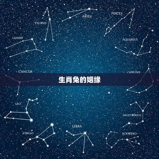 生肖兔的姻缘,属相兔与兔姻缘如何 生肖兔的姻缘,属相兔与兔姻缘如何