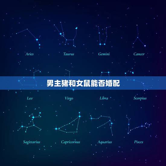 男主猪和女鼠能否婚配,男猪女鼠婚配好吗? 男主猪和女鼠能否婚配,男猪女鼠婚配好吗?