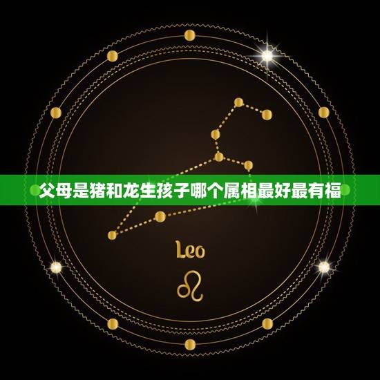 父母是猪和龙生孩子哪个属相最好最有福，生什么属相的宝宝比较跟父母属相合