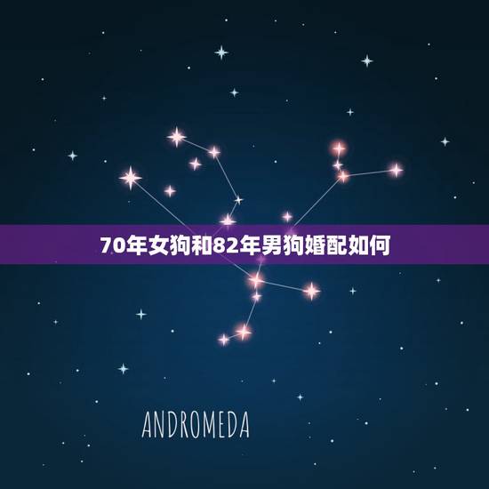 70年女狗和82年男狗婚配如何，1970年属狗的男性和1982年属狗的
