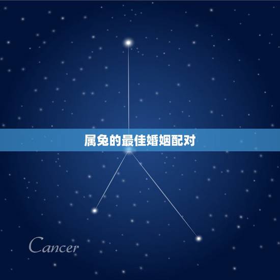 属兔的最佳婚姻配对,属兔人的最佳婚配? 属兔的最佳婚姻配对,属兔人的最佳婚配?