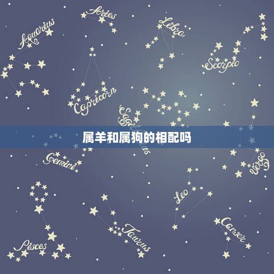 属羊和属狗的相配吗，属羊男人和属狗女婚配吗？