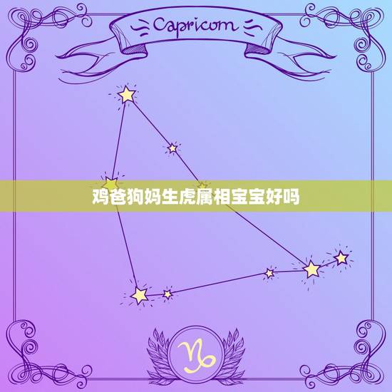 鸡爸狗妈生虎属相宝宝好吗，属鼠爸爸与属虎妈妈生个什么属相宝宝最好