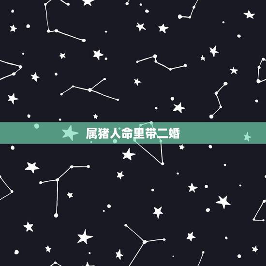 属猪人命里带二婚,83年属猪2022年逢九 属猪人命里带二婚,83年属猪2022年逢九