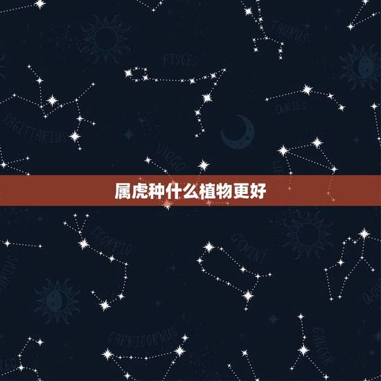 属虎种什么植物更好，七叶莲对属虎的作用