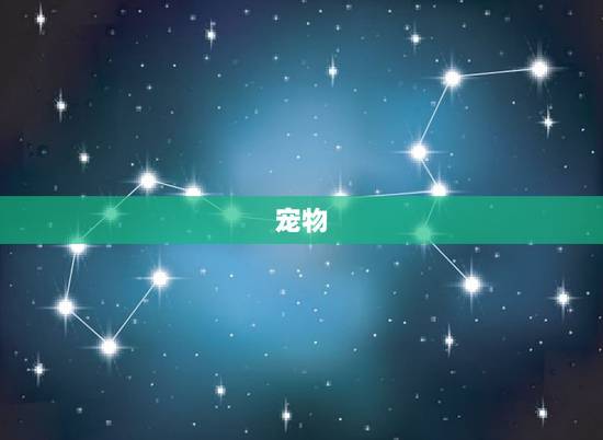 宠物,适合背着家长偷偷养的宠物 宠物,适合背着家长偷偷养的宠物