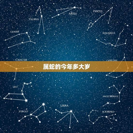 属蛇的今年多大岁,属蛇女厉害之处 属蛇的今年多大岁,属蛇女厉害之处