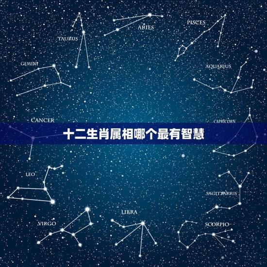 十二生肖属相哪个最有智慧,十二生肖智商排名,哪个生肖最聪明? 十二生肖属相哪个最有智慧,十二生肖智商排名,哪个生肖最聪明?