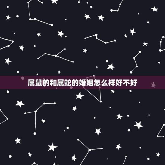 属鼠的和属蛇的婚姻怎么样好不好,属鼠的和属蛇的相配的婚姻好吗 属鼠的和属蛇的婚姻怎么样好不好,属鼠的和属蛇的相配的婚姻好吗