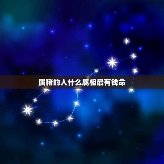 属猪的人什么属相最有钱命，属猪什么命