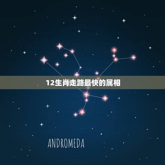 12生肖走路最快的属相,十二生肖中跑跑得最快的动物 12生肖走路最快的属相,十二生肖中跑跑得最快的动物