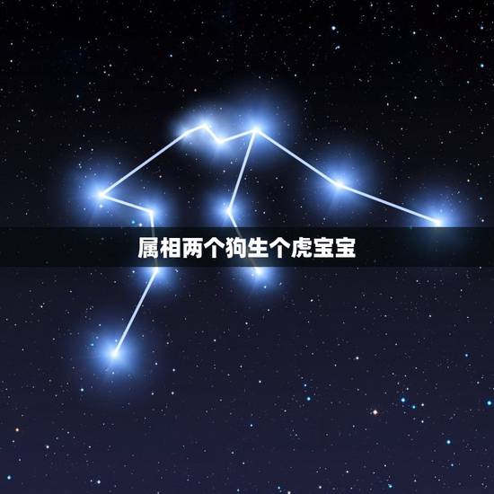 属相两个狗生个虎宝宝，两虎生什么属相娃娃好