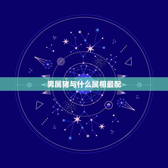 男属猪与什么属相最配，属猪生什么属相宝宝好