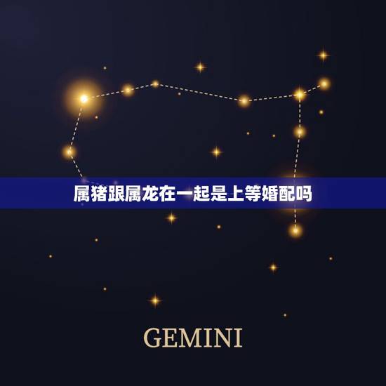 属猪跟属龙在一起是上等婚配吗，属龙的和属猪能相配吗