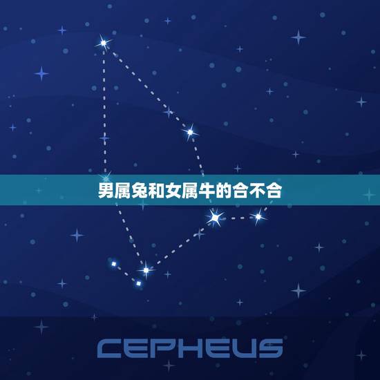 男属兔和女属牛的合不合，属兔和属牛的合不合