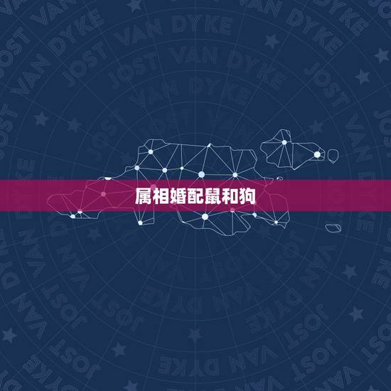 属相婚配鼠和狗,属狗和属鼠配吗? 属相婚配鼠和狗,属狗和属鼠配吗?