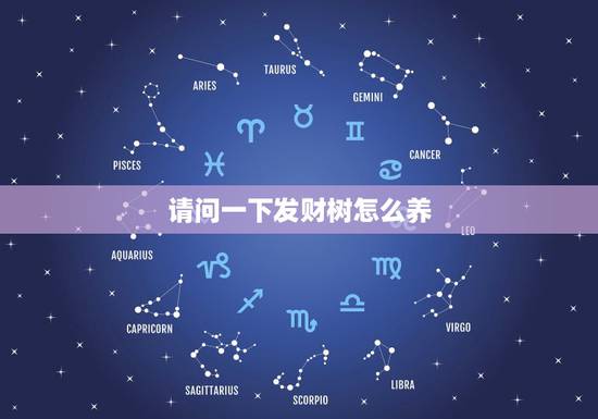 请问一下发财树怎么养，发财树怎么养护？