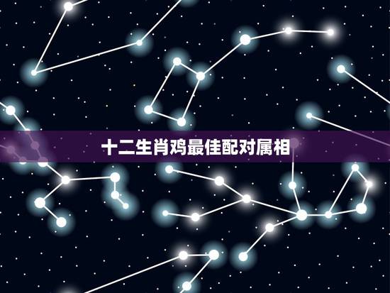 十二生肖鸡最佳配对属相,鸡跟什么生肖配对最好 十二生肖鸡最佳配对属相,鸡跟什么生肖配对最好
