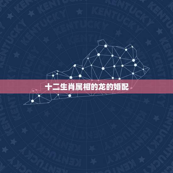 十二生肖属相的龙的婚配,93年属鸡的男性和什么属相最配 十二生肖属相的龙的婚配,93年属鸡的男性和什么属相最配