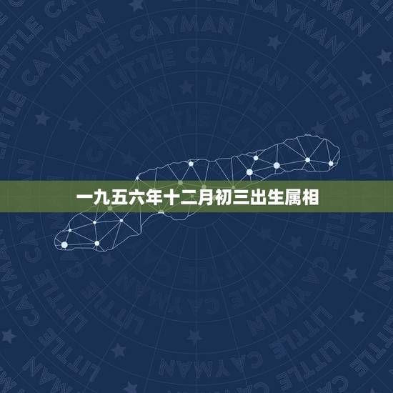 一九五六年十二月初三出生属相，农历一九九六年十二月初三出生的女人的命运